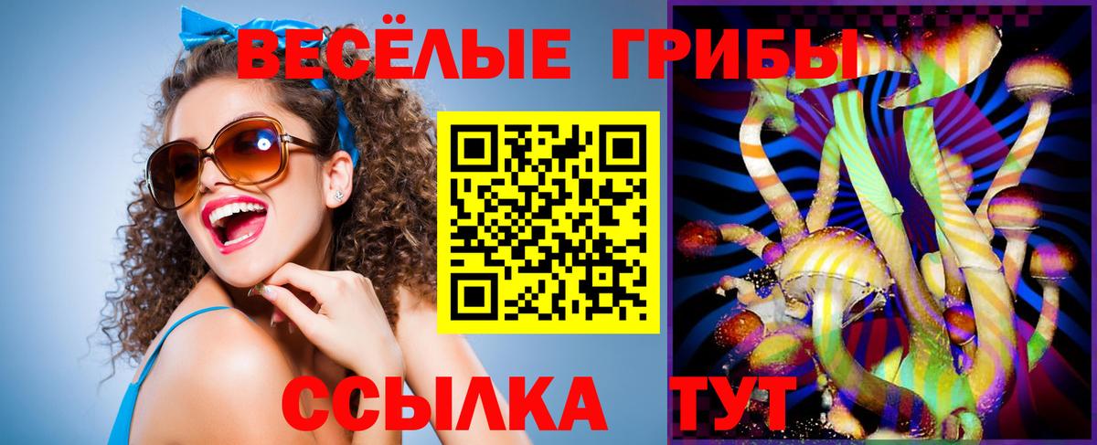 Галлюциногенные грибы прущие грибы  Псилоцибиновые грибы MAGIC MUSHROOMS  наркота  Вход с VPN  Лесной 