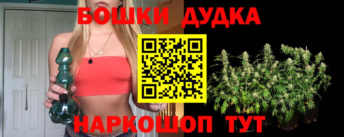 Лесной  Шишки марихуана планчик  Вход с VPN  МАРИХУАНА White Widow  МАРИХУАНА OG Kush 